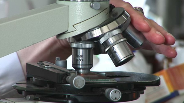 Ferrite Testing