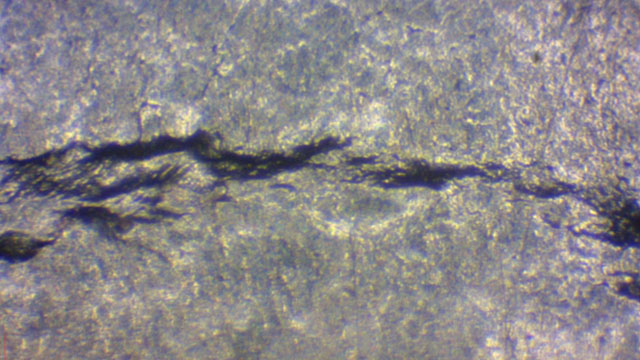 Crevice Corrosion Testing