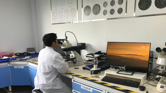 Physical and Chemical Testing